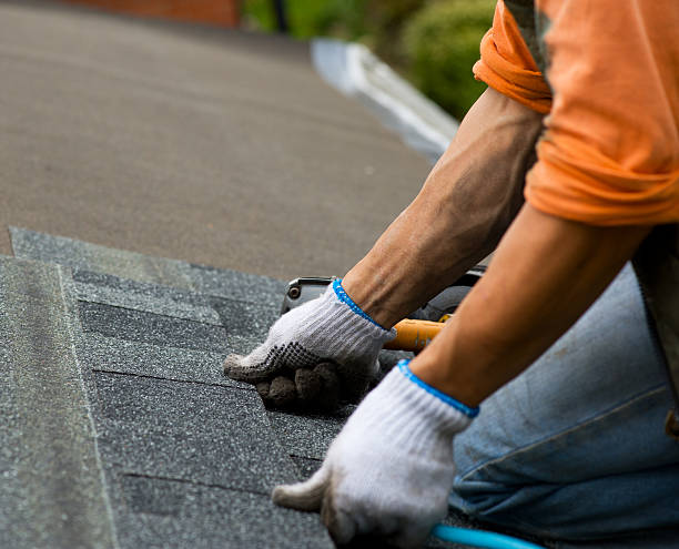 Trusted Fairview, MT Roofing Contractor Experts